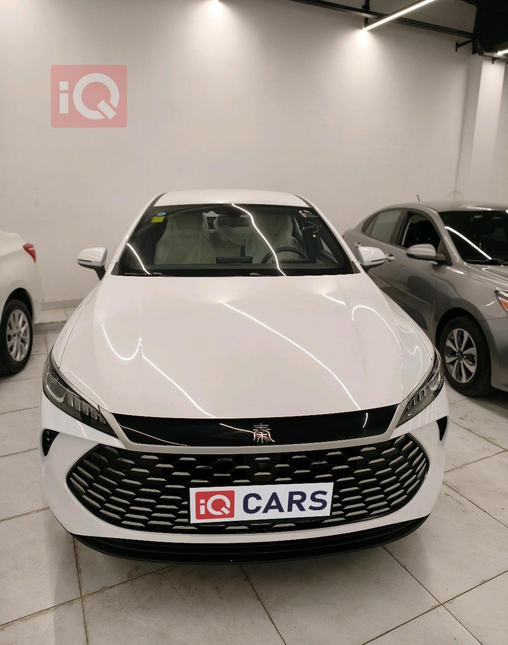 بي واي دي Qin Plus